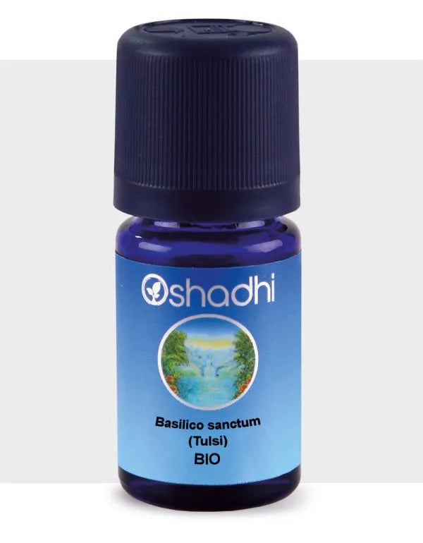 Olio essenziale di Basilico sanctum