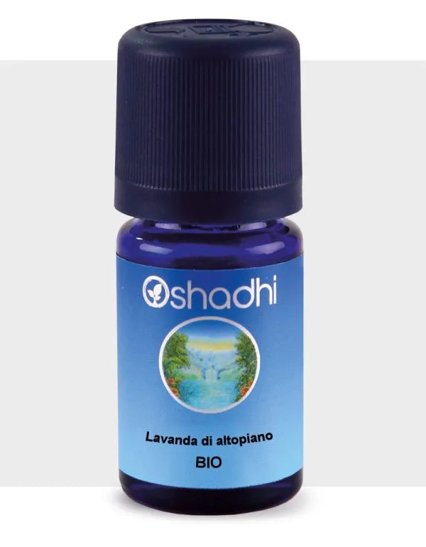 Olio essenziale di Lavanda di altopiano